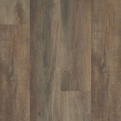Shaw Floors Resilient Property Solutions Elan Plank Highlight Oak 07061_VE388