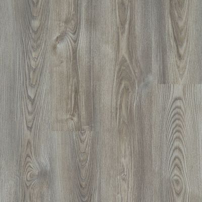 Shaw Floors Resilient Property Solutions Elan Plank Grey Chestnut 07062_VE388