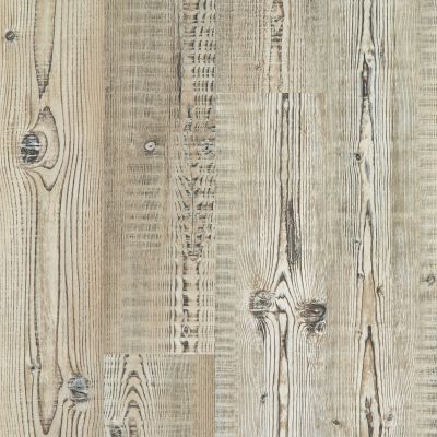 Shaw Floors Resilient Property Solutions Elan Plank Accent Pine 07063_VE388