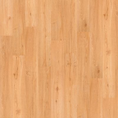 Shaw Floors Resilient Property Solutions Expo 6 II San Francisco 00251_VE389
