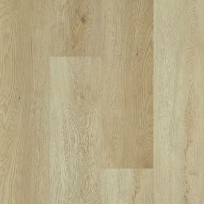 Shaw Floors Resilient Property Solutions Brio Plus 20 River Bend Oak 00296_VE429