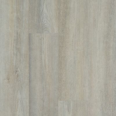 Shaw Floors Resilient Property Solutions Brio Plus 20 Mil Greige Walnut 05078_VE429