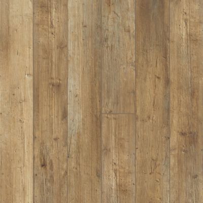 Shaw Floors Resilient Property Solutions Polaris Plus Touch Pine 00690_VE433