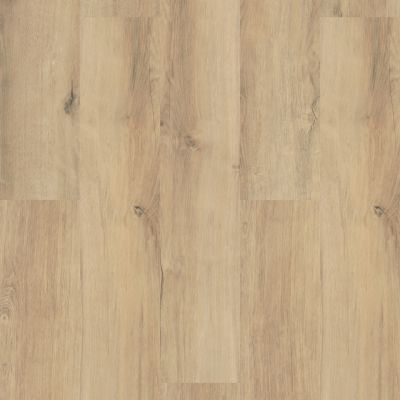 Shaw Floors Resilient Property Solutions Polaris Plus Marina 02014_VE433