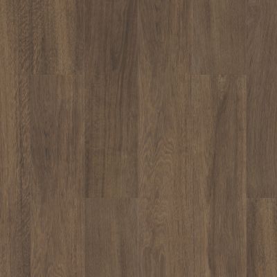 Shaw Floors Resilient Property Solutions Supino Hd+natural Bevel Cordovan 07233_VE441