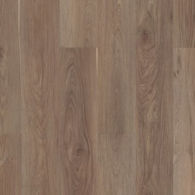 Shaw Floors Resilient Property Solutions Supino Hd+natural Bevel Truffle 07234_VE441
