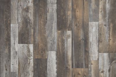 Shaw Floors Resilient Residential Pro 12 II Desert 00746_VG085