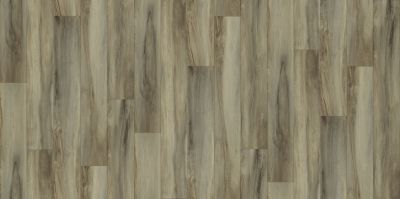 Shaw Floors Resilient Residential Urban Woodlands 65g Brentwood 00234_VG088