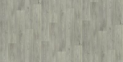 Shaw Floors Resilient Residential Urban Woodlands 65g Devon 00567_VG088