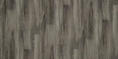 Shaw Floors Resilient Residential Urban Woodlands 65g Noble 00583_VG088