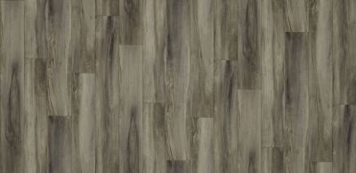 Shaw Floors Resilient Residential Urban Woodlands 65g Hartel 00590_VG088