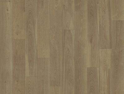 Shaw Floors Resilient Residential Sublime Vision Phoenix 02026_VG090