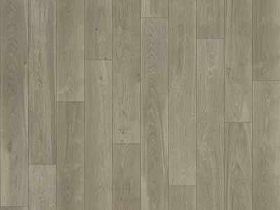 Shaw Floors Resilient Residential Sublime Vision Perseus 05095_VG090