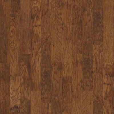 Shaw Floors Village Hardwoods Tongass Cider 00221_VH014