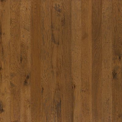 Shaw Floors Nfa Premier Gallery Hardwood Brighton Point 5 Warm Sunset 00879_VH032
