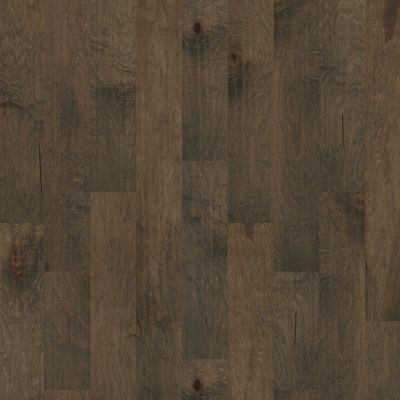 Shaw Floors Nfa Premier Gallery Hardwood Simi Valley Timberwolf 05002_VH045