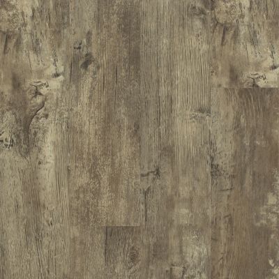 Shaw Floors Nfa HS Ventura Jade Oak 00728_VH542