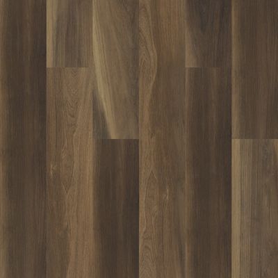 Shaw Floors Nfa HS Beaver Creek Ravine Oak 00798_VH544