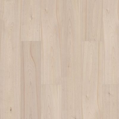 Shaw Floors Nfa HS Santa Maria Hdr Plus Ethereal 01069_VH551