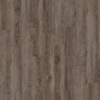 Shaw Floors Resilient Property Solutions Market Square 6 Melrose 00515_VPS23