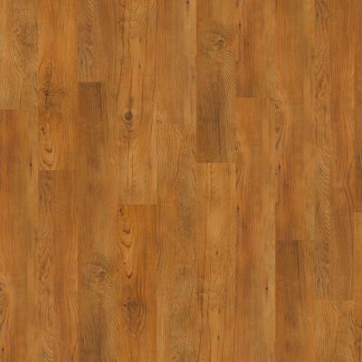 Shaw Floors Resilient Property Solutions Silva Antique Chestnut 00230_VPS54