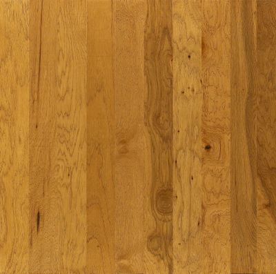 Shaw Floors Shaw Hardwoods Panamint Tin 00215_WC907