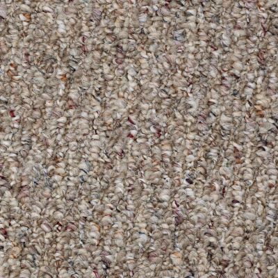Shaw Floors Roll Special Xv164 12′ River’s Edge 00703_XV164