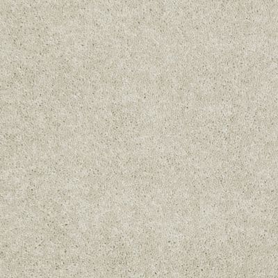 Shaw Floors Roll Special Xv184 15′ Unspecified 00109_XV184