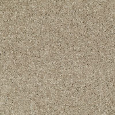 Shaw Floors Roll Special Xv184 15′ Unspecified 00250_XV184