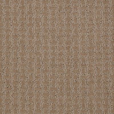 Shaw Floors Roll Special Xv284 Mushroom 00703_XV284