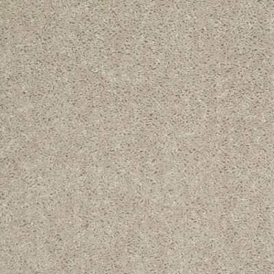 Shaw Floors Roll Special Xv375 Misty Taupe 00105_XV375