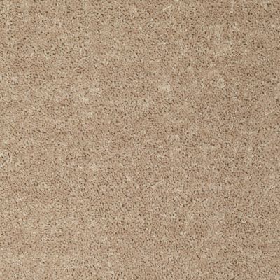 Shaw Floors Roll Special Xv375 Wild Dune 00201_XV375