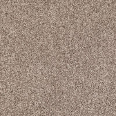 Shaw Floors Roll Special Xv375 Aloe 00300_XV375
