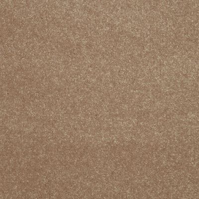 Shaw Floors Roll Special Xv425 Canvas 00102_XV425