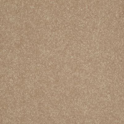 Shaw Floors Roll Special Xv425 Blond Ambition 00200_XV425