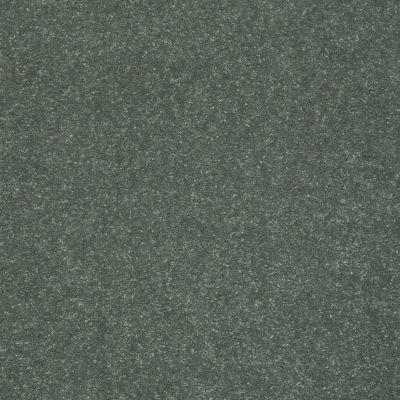 Shaw Floors Roll Special Xv425 Spruce 00311_XV425