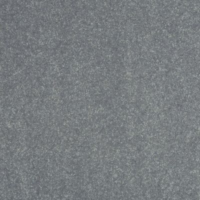 Shaw Floors Roll Special Xv425 Silver Dollar 00500_XV425