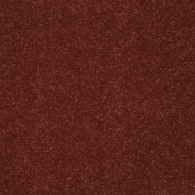 Shaw Floors Roll Special Xv425 Spiced Coral 00612_XV425