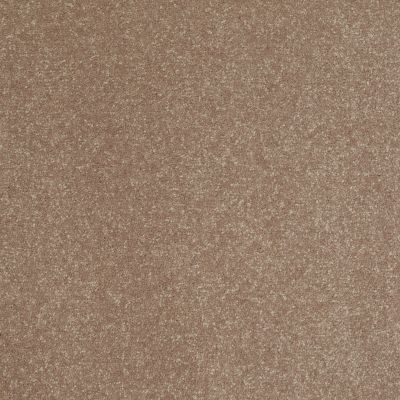 Shaw Floors Roll Special Xv425 Spun Sugar 00702_XV425