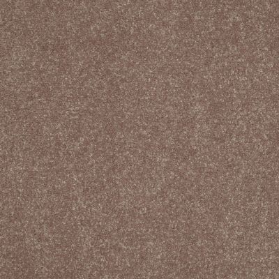 Shaw Floors Roll Special Xv425 Dutch Cocoa 00703_XV425