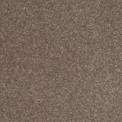Shaw Floors Roll Special Xv425 Mink 00704_XV425