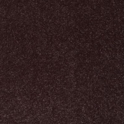 Shaw Floors Roll Special Xv425 Dark Chocolate 00716_XV425