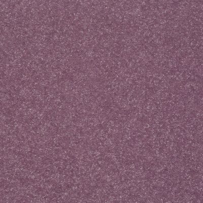 Shaw Floors Roll Special Xv425 Lavender 00910_XV425