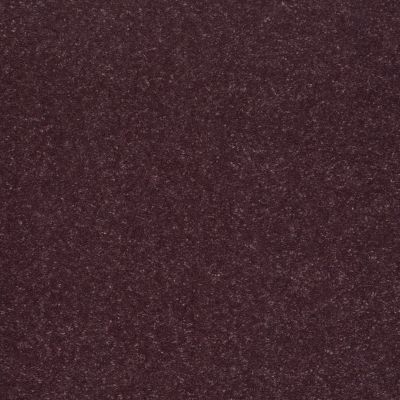 Shaw Floors Roll Special Xv425 Amethyst 00911_XV425