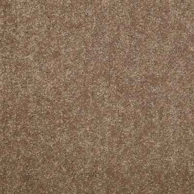 Shaw Floors Roll Special Xv426 Buckskin 26156_XV426