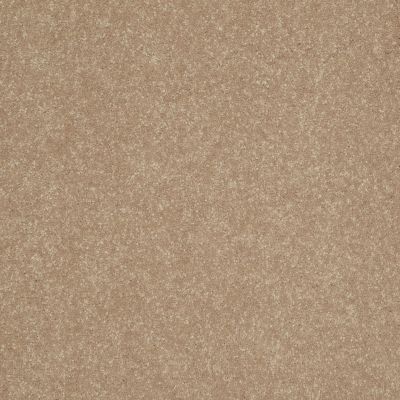 Shaw Floors Roll Special Xv436 Blond Ambition 00200_XV436