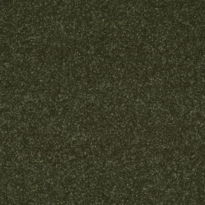 Shaw Floors Roll Special Xv436 Nature Walk 00303_XV436