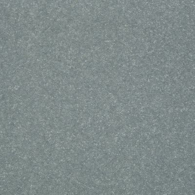 Shaw Floors Roll Special Xv436 Dolphin 00511_XV436