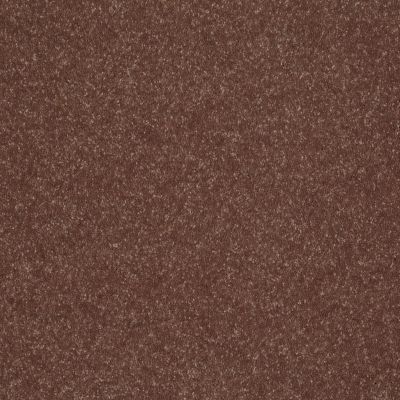 Shaw Floors Roll Special Xv436 Porch Swing 00701_XV436