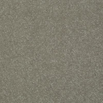 Shaw Floors Roll Special Xv436 Mushroom 00710_XV436